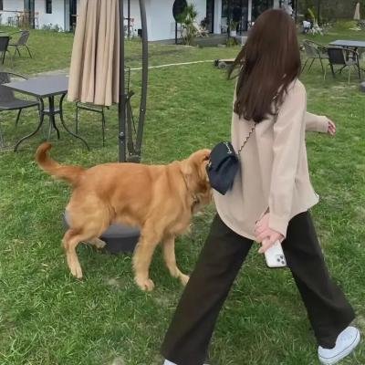 牛津解密